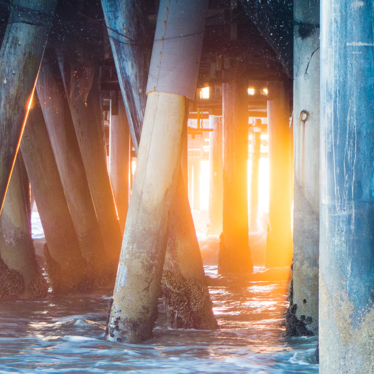 摄影志：圣莫尼卡栈桥下的日落